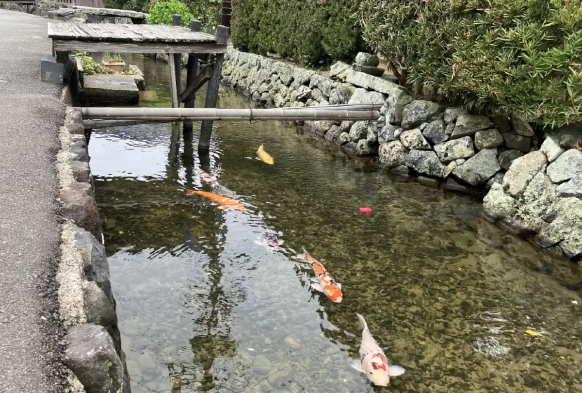 Aiba Waterway