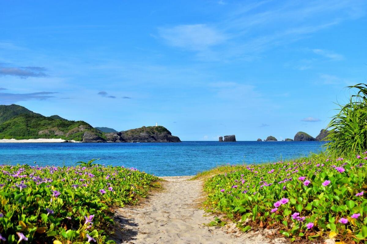 Ama Beach