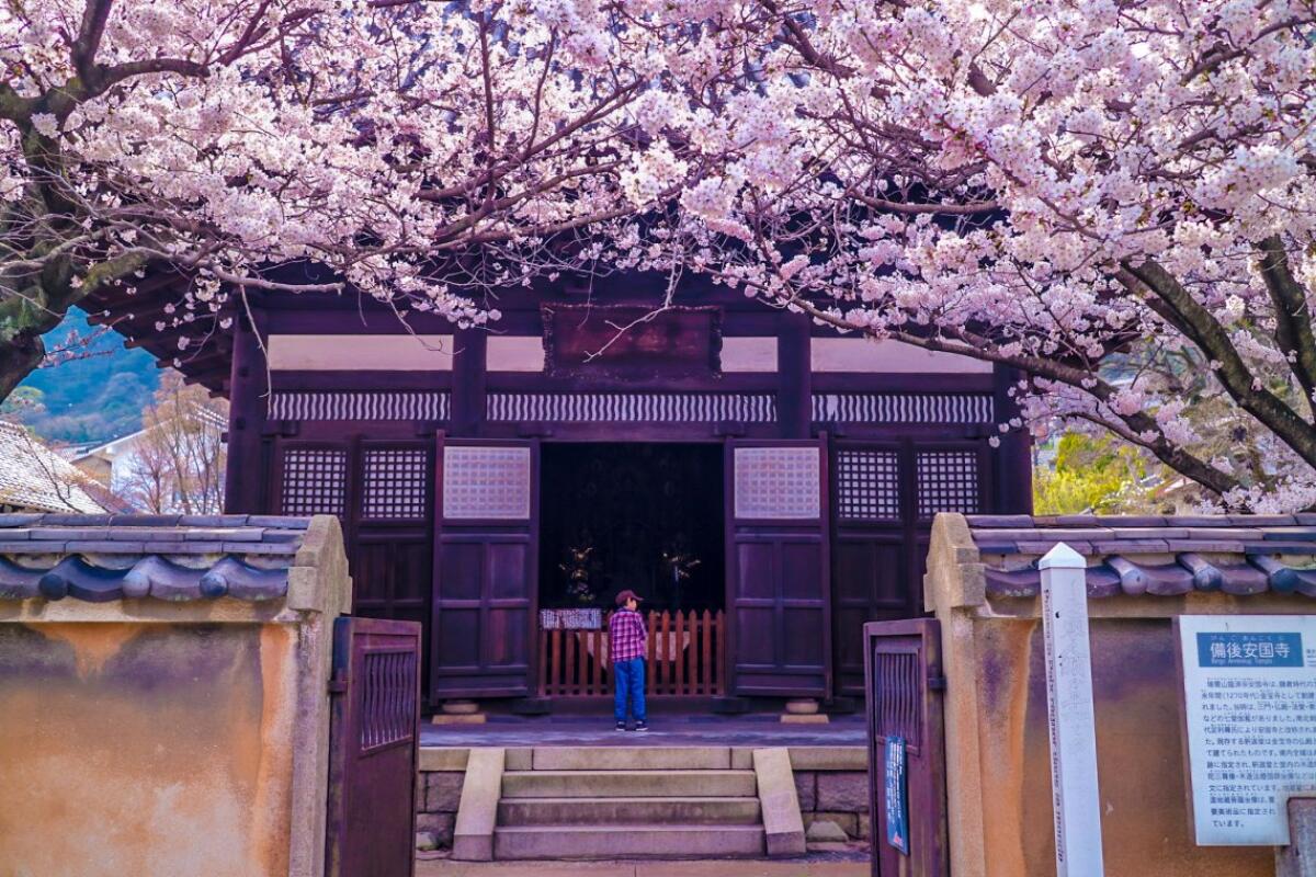 Ankokuji Temple