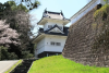 Aoba Castle