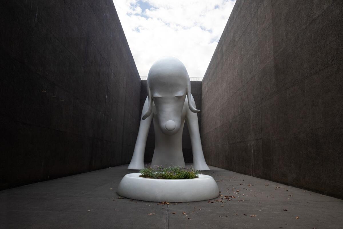 Aomori Museum of Art