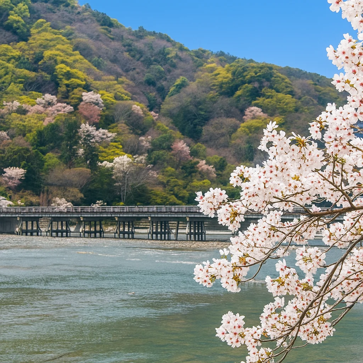 Arashiyama