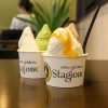 Arima gelateria Stagione