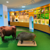 Aso Volcano Museum