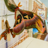 Atlas Moth Museum