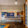 Atlas Moth Museum