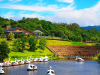 Awaji Farm Park England Hill