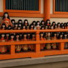 Awashima Shrine