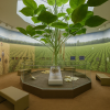 Azuki Bean Museum