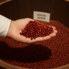 Azuki Bean Museum