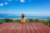 Biwako Hakodateyama (Summer)
