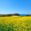 Cape Nagasakibana
