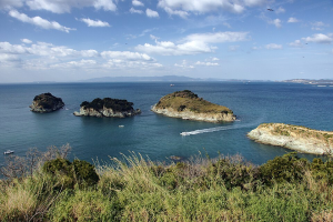 Cape Saikazaki
