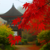 Chogakuji Temple