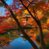 Chogakuji Temple