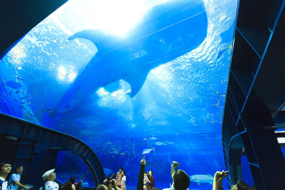 Churaumi Aquarium