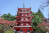 Chureito Pagoda