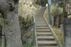 Daibutsu Hiking Course