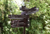 Daibutsu Hiking Course