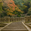 Daishoin Temple