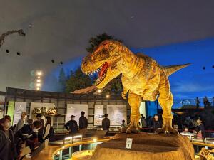 Dinosaur Museum