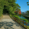 Dogo Park