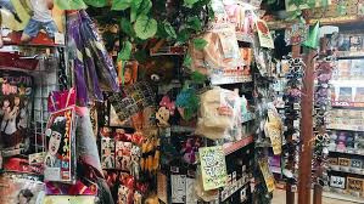 Don Quijote Akihabara