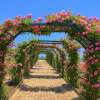 Eco Park Minamata