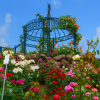 Eco Park Minamata