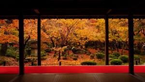 Enkoji Temple