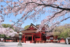 Fujisan Sengen Shrine