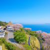 Fukuda Farm