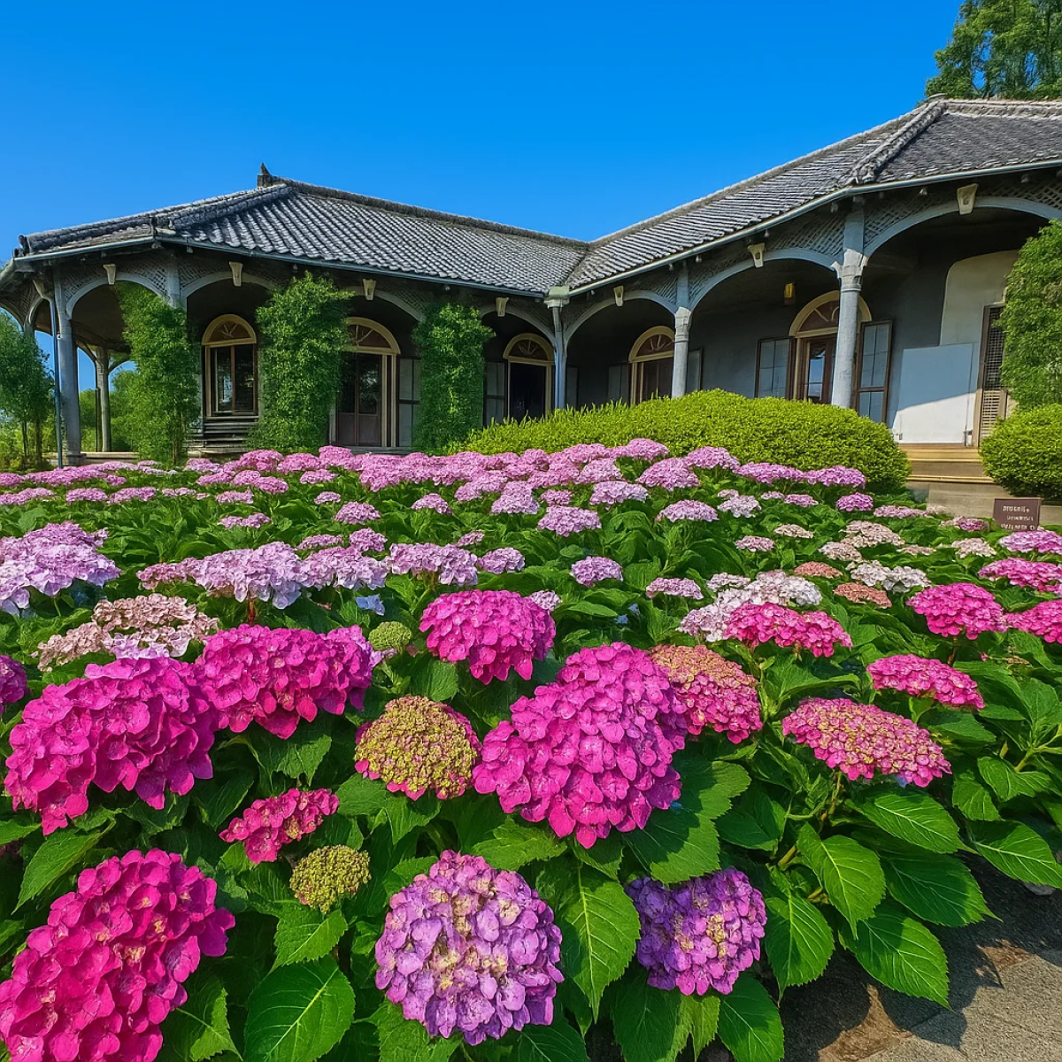 Glover Garden