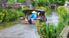 Hachiman-bori Canal Boat Cruises
