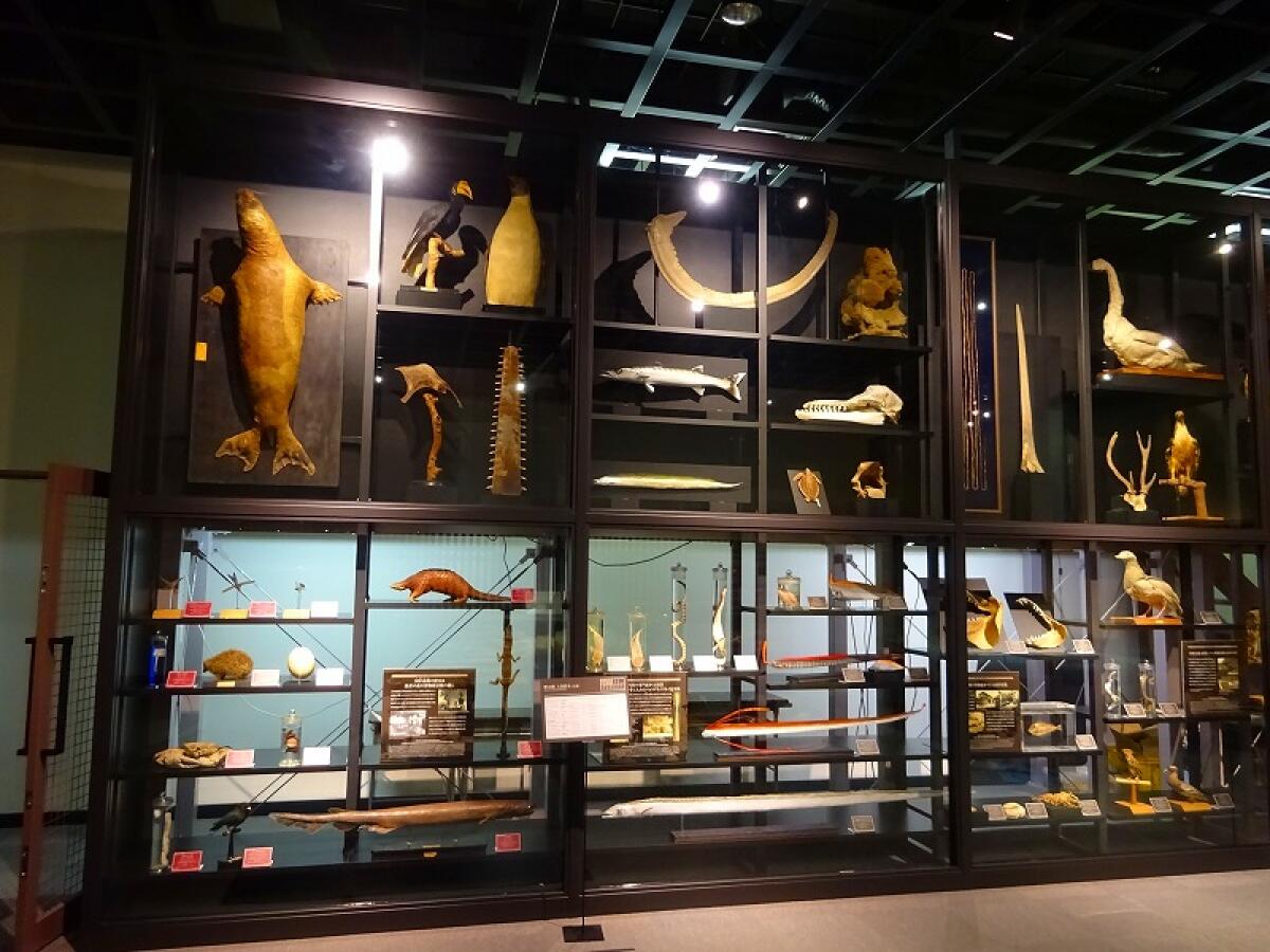 Hagi Museum