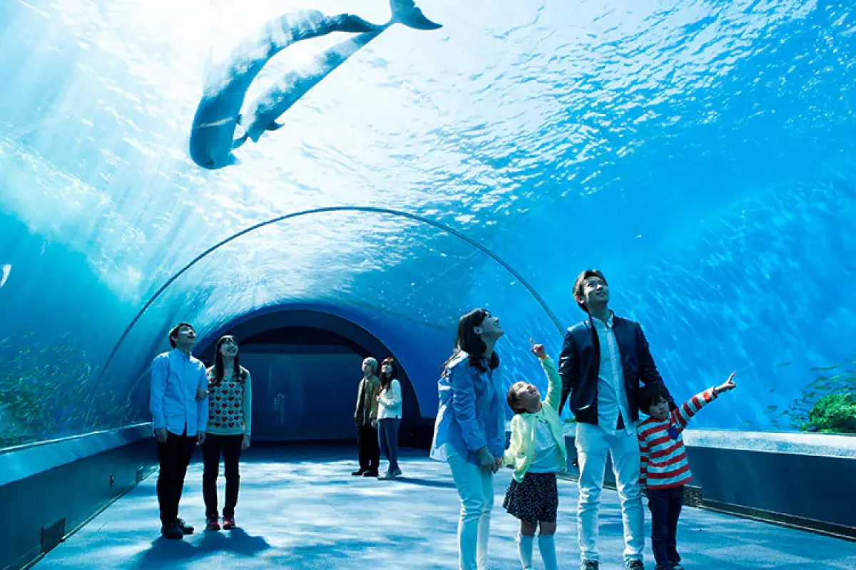 Hakkeijima Sea Paradise