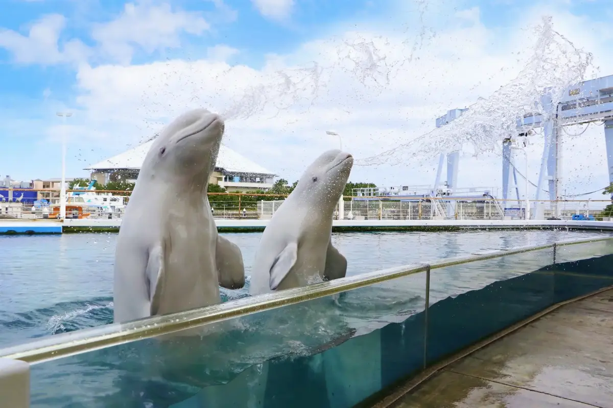 Hakkeijima Sea Paradise
