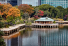 Hama Rikyu