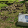 Hara Castle Ruins
