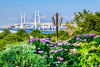 Harbor View Park