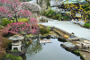 Hasedera Temple