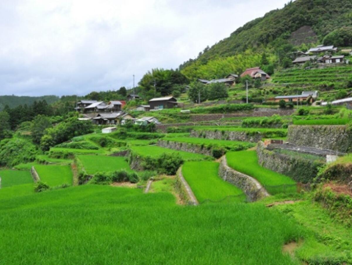 Hata Rice Terraces