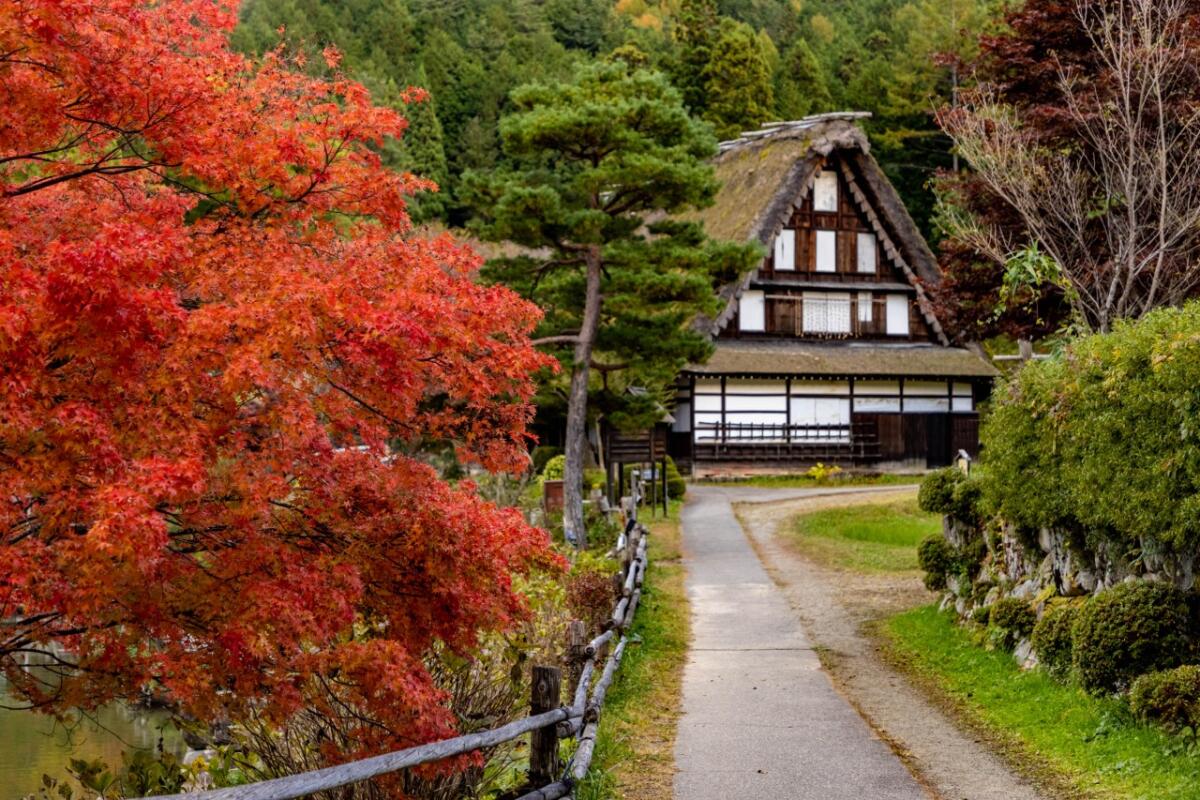 Hida Folk Village (Hida no Sato)