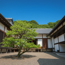 Hikone Castle Museum