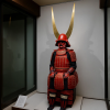 Hikone Castle Museum