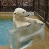 Himeji City Zoo