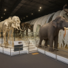 Himeji Science Museum