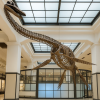 Himeji Science Museum