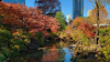 Hinokicho Park