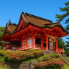 Hinomisaki Shine